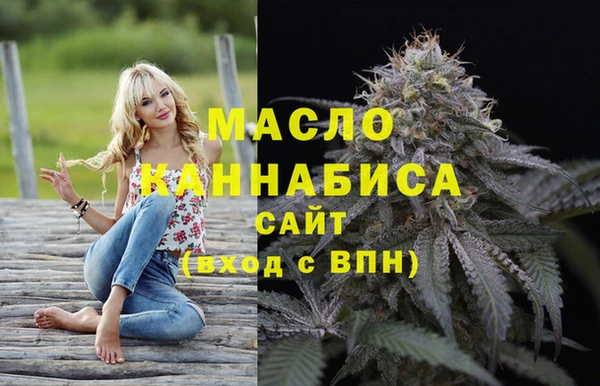 гидра Кинешма