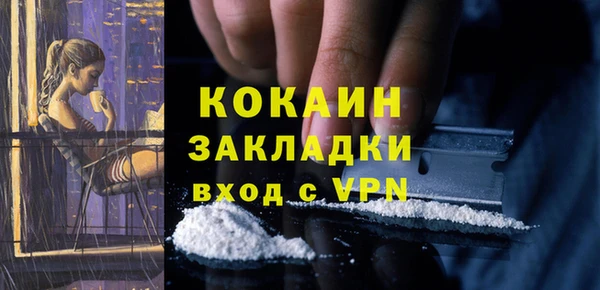 гидра Кинешма
